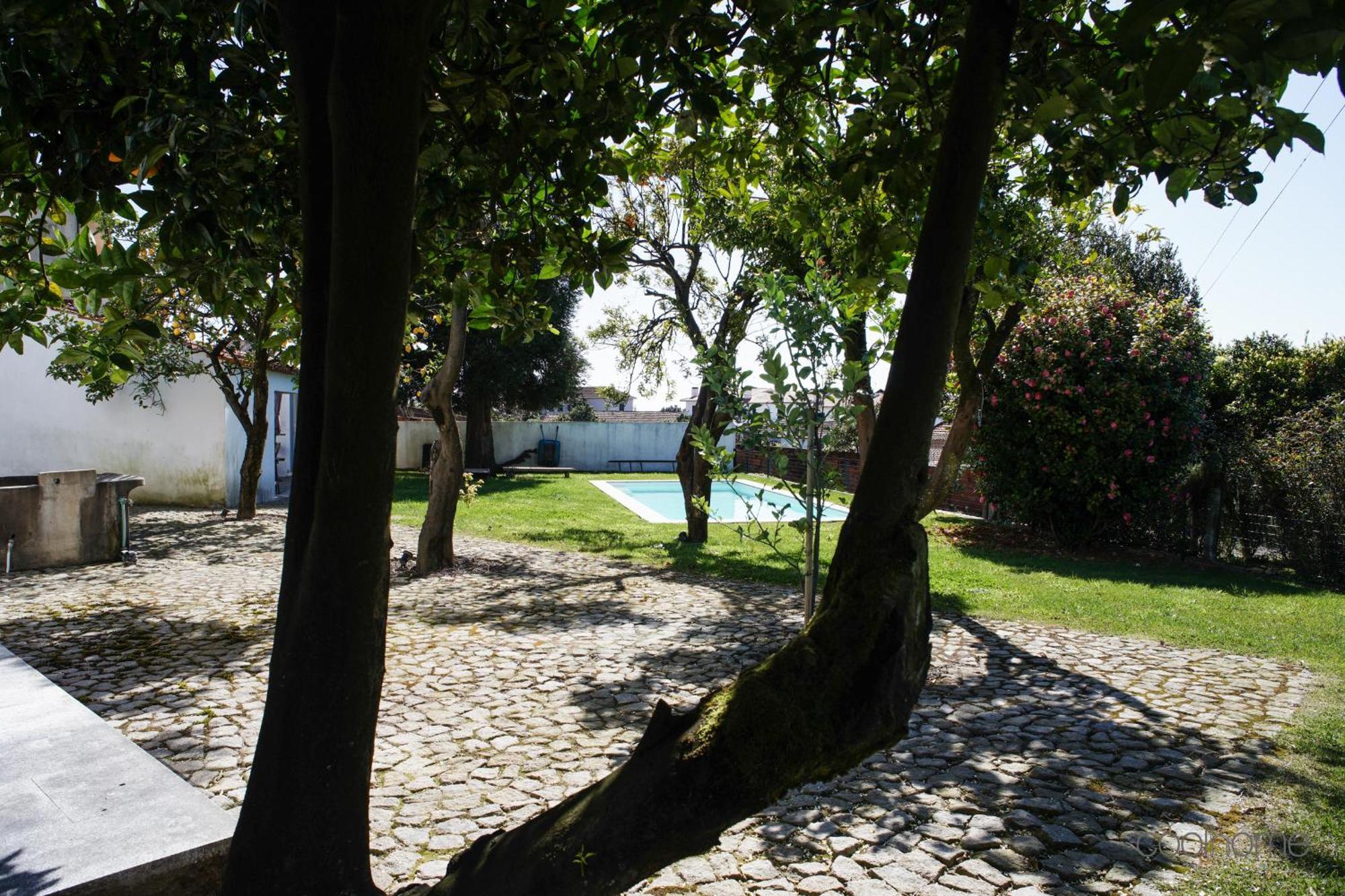 12 Casa D'Avo Villa Albergaria-a-Velha Exterior photo